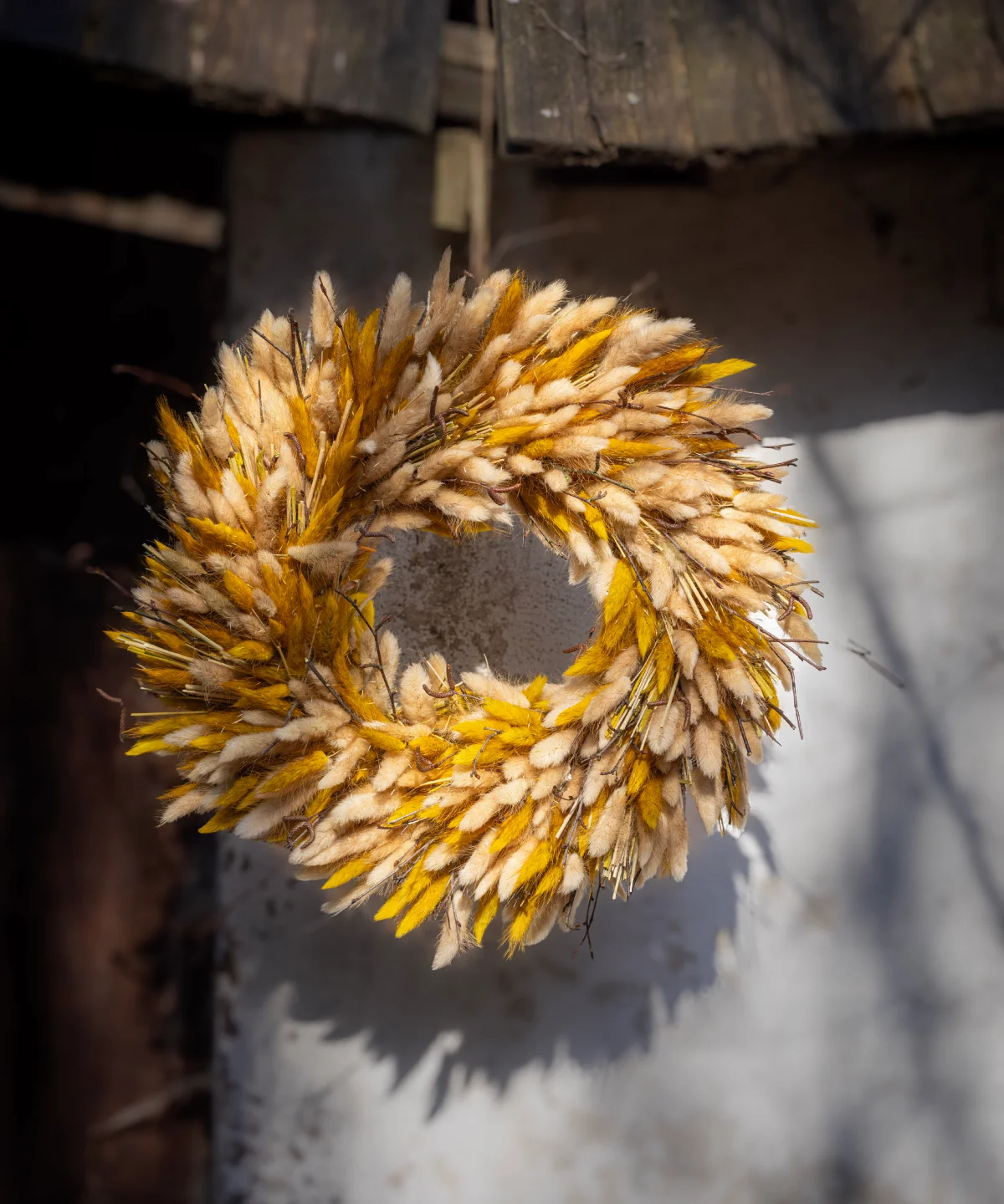 Detail venca Dotyk slnka z brezového korpusu a zajačky