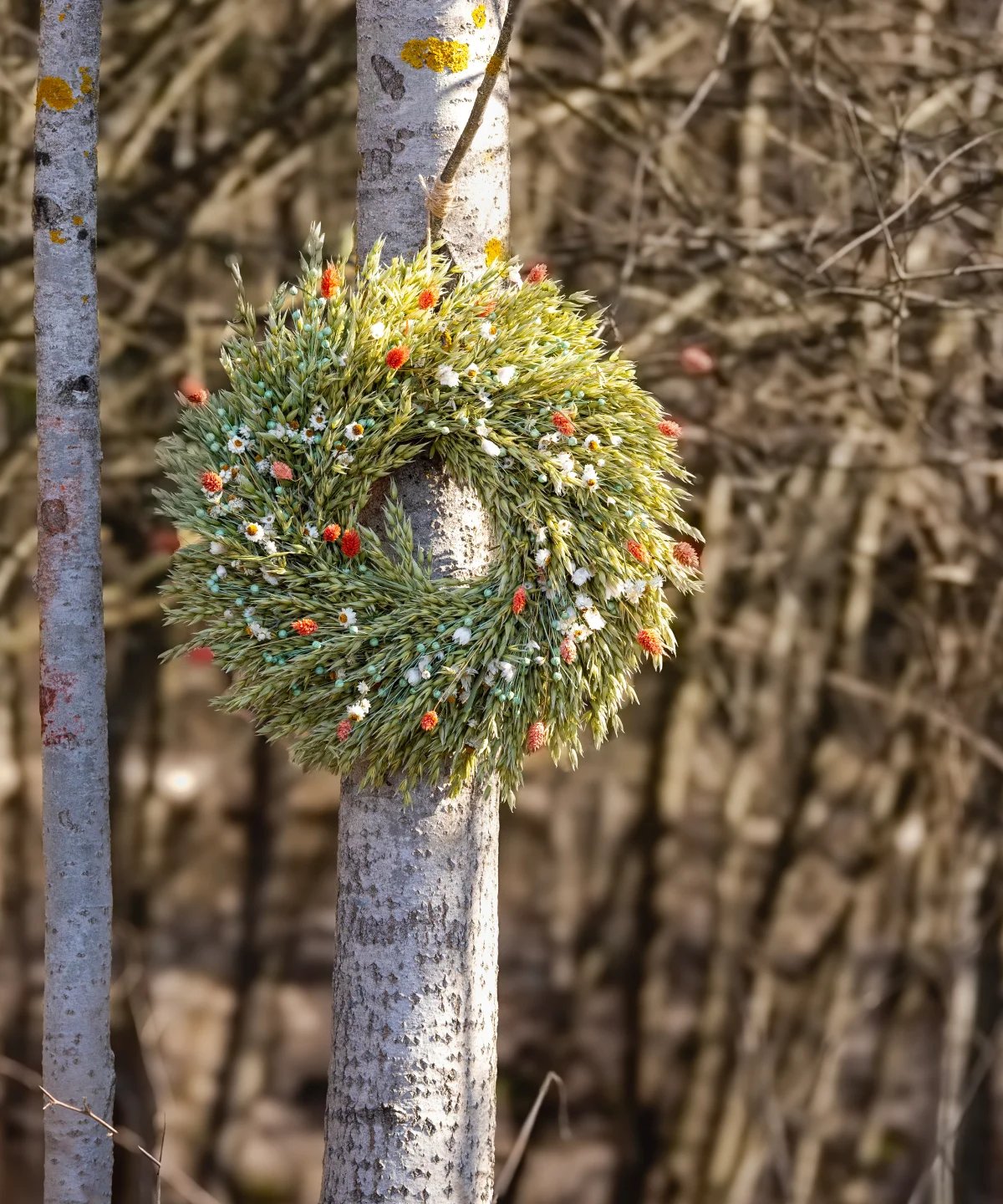 Prírodný veniec Poľná impresia v zelených, bielych a ružových tónoch zavesený na strome